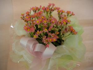 ガーデニングの前に｜「フラワーショップ　サンワ」　（北海道室蘭市の花キューピット加盟店 花屋）のブログ
